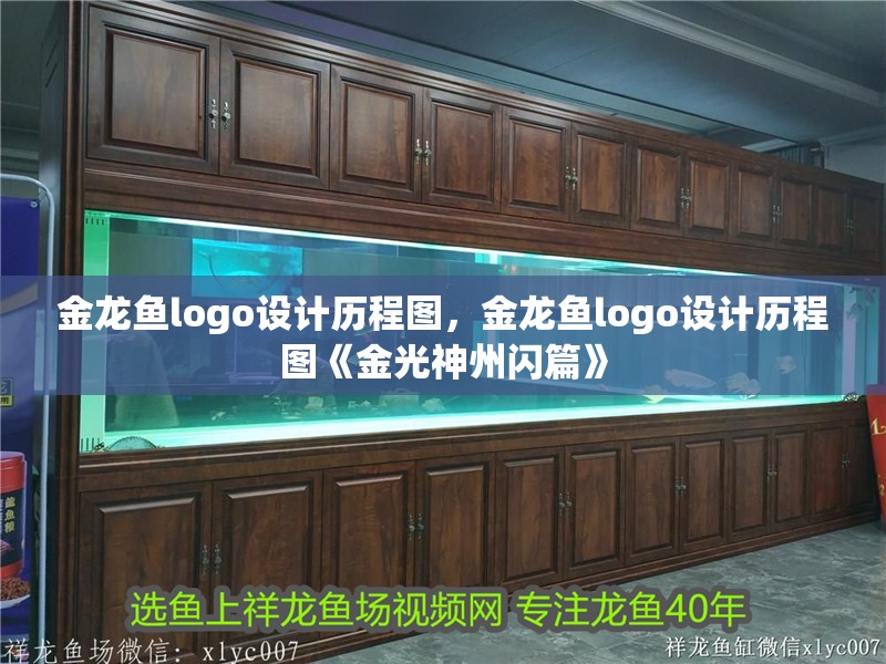 金龍魚logo設計歷程圖，金龍魚logo設計歷程圖《金光神州閃篇》