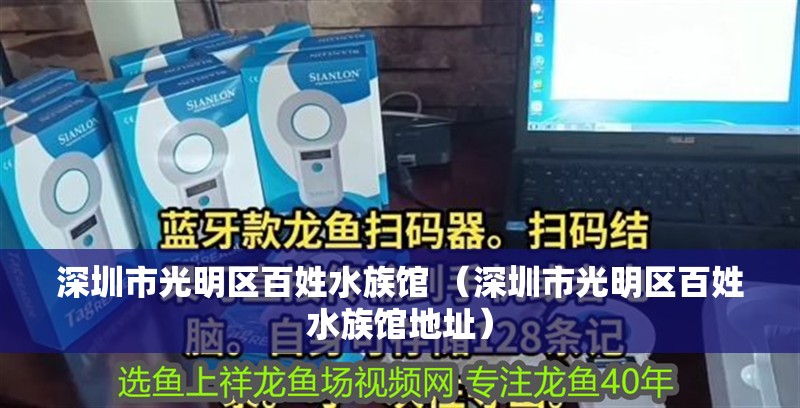 深圳市光明區(qū)百姓水族館 （深圳市光明區(qū)百姓水族館地址）