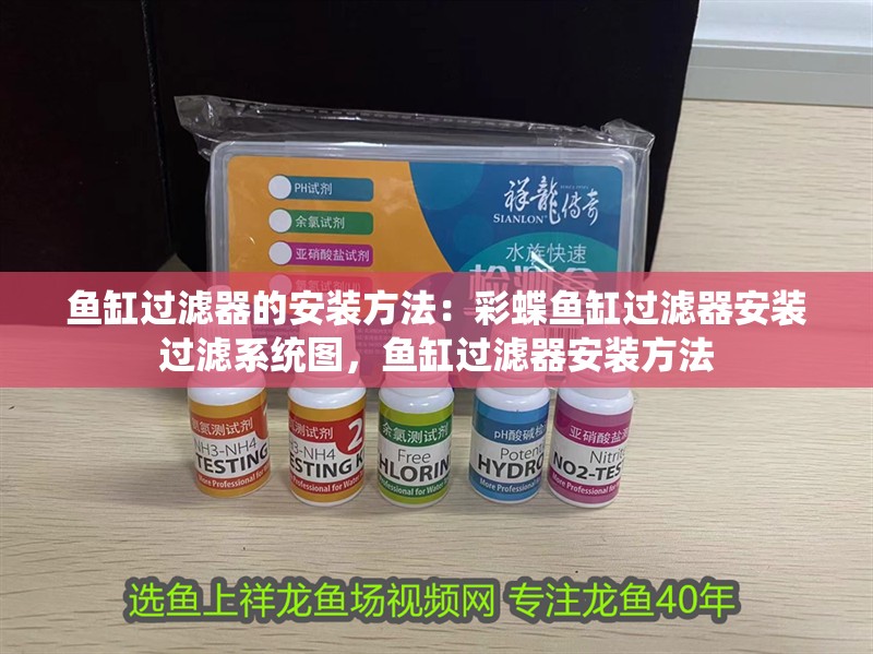 魚缸過濾器的安裝方法：彩蝶魚缸過濾器安裝過濾系統(tǒng)圖，魚缸過濾器安裝方法