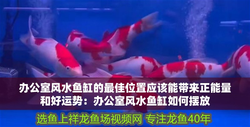 辦公室風水魚缸的最佳位置應該能帶來正能量和好運勢：辦公室風水魚缸如何擺放