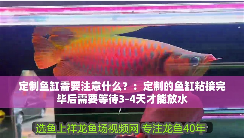 定制魚缸需要注意什么？：定制的魚缸粘接完畢后需要等待3-4天才能放水