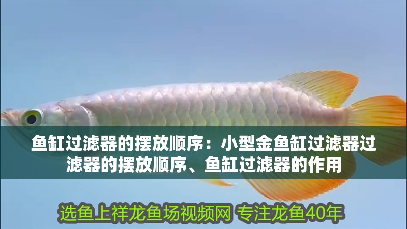 魚(yú)缸過(guò)濾器的擺放順序：小型金魚(yú)缸過(guò)濾器過(guò)濾器的擺放順序、魚(yú)缸過(guò)濾器的作用