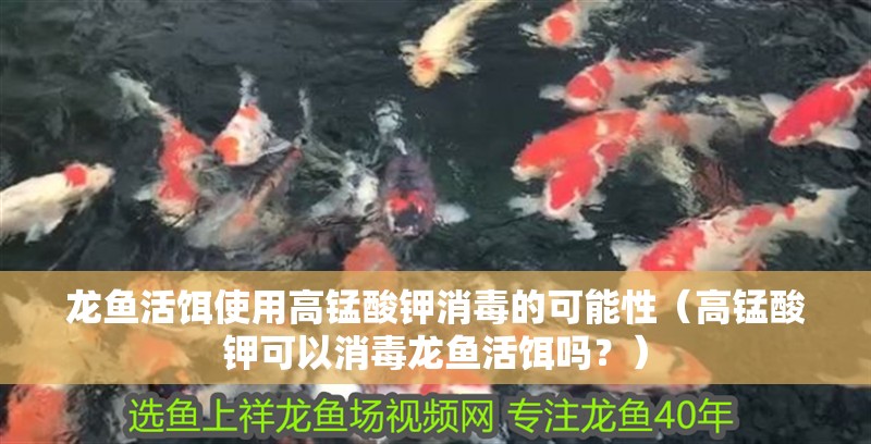 龍魚活餌使用高錳酸鉀消毒的可能性（高錳酸鉀可以消毒龍魚活餌嗎？）