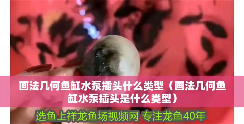 畫法幾何魚缸水泵插頭什么類型（畫法幾何魚缸水泵插頭是什么類型）