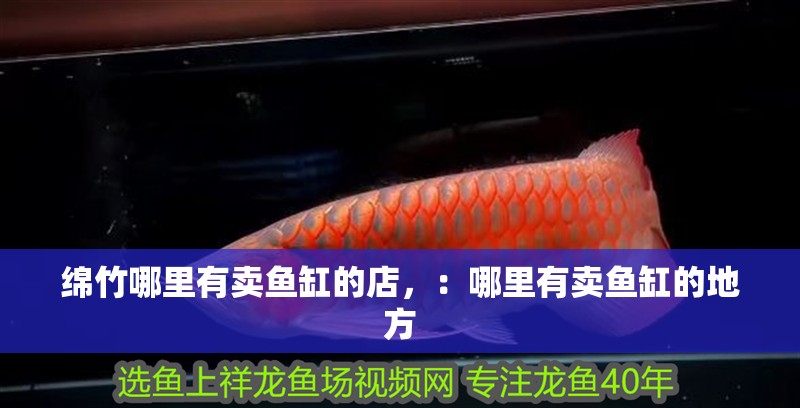 綿竹哪里有賣魚缸的店，：哪里有賣魚缸的地方