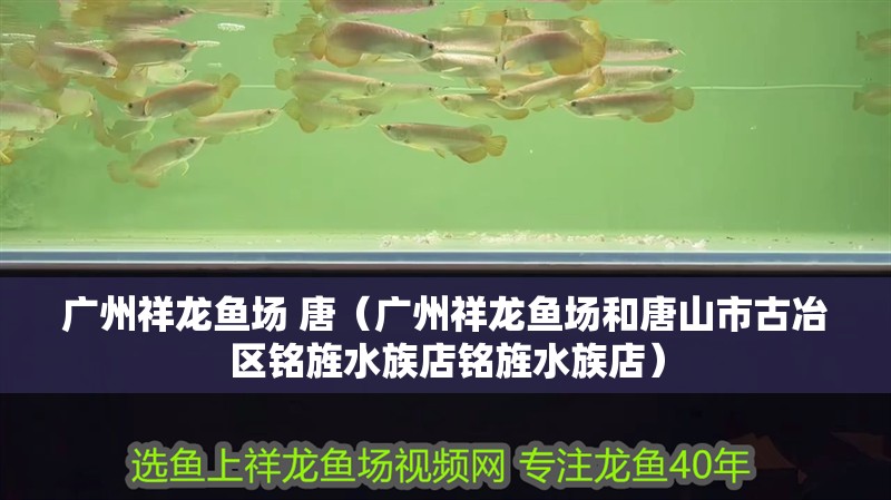 廣州祥龍魚場 唐（廣州祥龍魚場和唐山市古冶區銘旌水族店銘旌水族店）