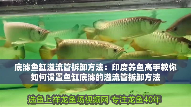 底濾魚缸溢流管拆卸方法：印度養魚高手教你如何設置魚缸底濾的溢流管拆卸方法