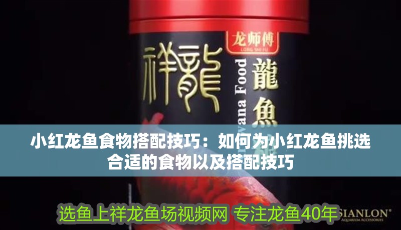 小紅龍魚食物搭配技巧：如何為小紅龍魚挑選合適的食物以及搭配技巧