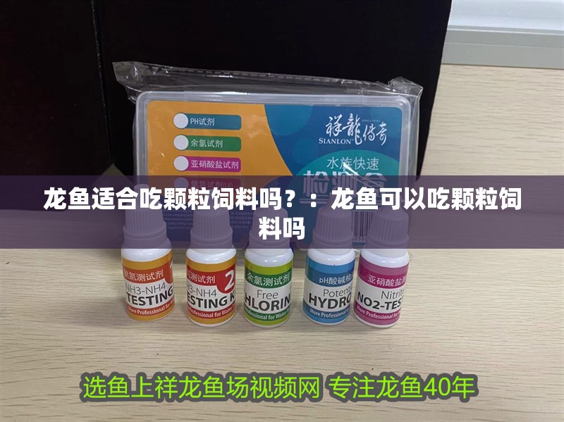 龍魚適合吃顆粒飼料嗎？：龍魚可以吃顆粒飼料嗎