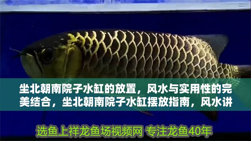 坐北朝南院子水缸的放置，風水與實用性的完美結合，坐北朝南院子水缸擺放指南，風水講究與實用技巧