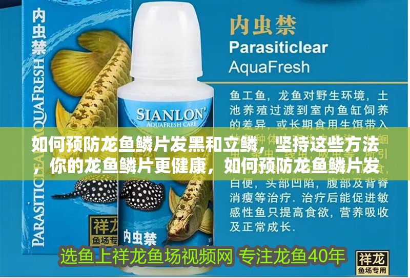 如何預防龍魚鱗片發黑和立鱗，堅持這些方法，你的龍魚鱗片更健康，如何預防龍魚鱗片發黑和立鱗