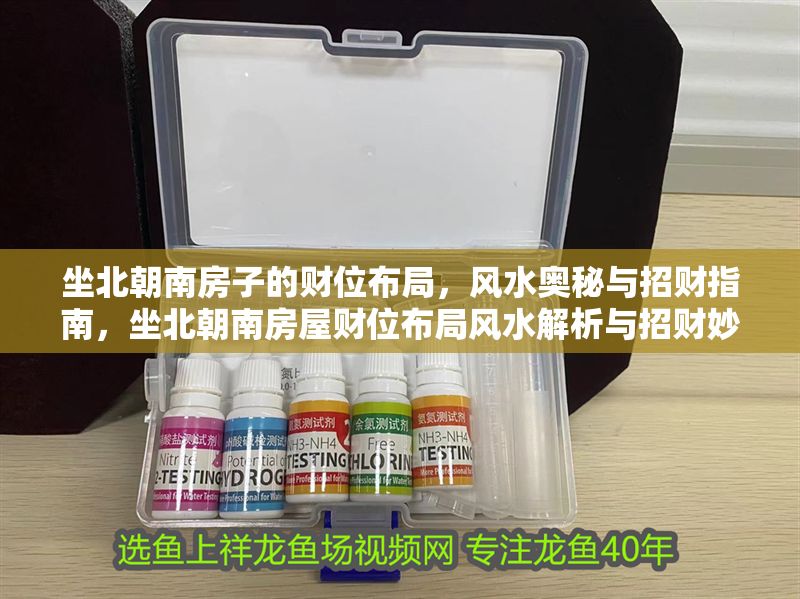 坐北朝南房子的財(cái)位布局，風(fēng)水奧秘與招財(cái)指南，坐北朝南房屋財(cái)位布局風(fēng)水解析與招財(cái)妙招