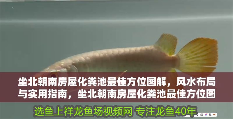 坐北朝南房屋化糞池最佳方位圖解，風(fēng)水布局與實(shí)用指南，坐北朝南房屋化糞池最佳方位圖解，風(fēng)水布局與實(shí)用指南