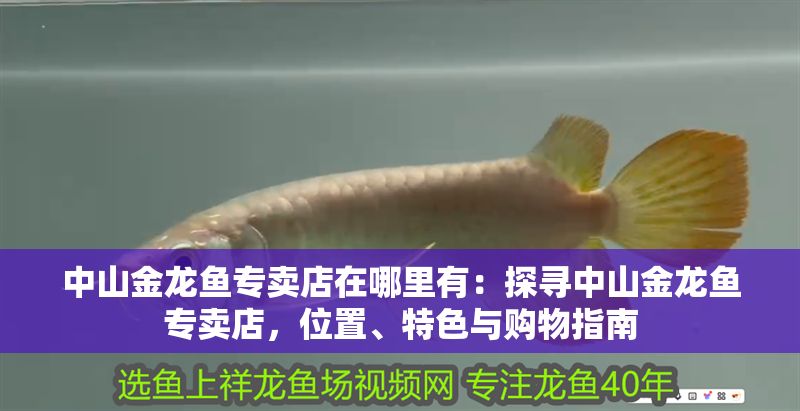 <strong><mark>中山</mark></strong>金龍魚專賣店在哪里有：探尋<strong><mark>中山</mark></strong>金龍魚專賣店，位置、特色與購物指南