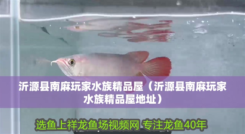 <strong><mark>沂源</mark></strong>縣南麻玩家水族精品屋（<strong><mark>沂源</mark></strong>縣南麻玩家水族精品屋地址）