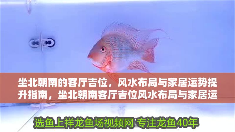 坐北朝南的客廳吉位，風水布局與家居運勢提升指南，坐北朝南客廳吉位風水布局與家居運勢提升全攻略