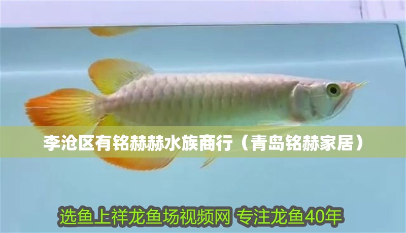 李滄區有銘赫赫水族商行（青島銘赫家居）