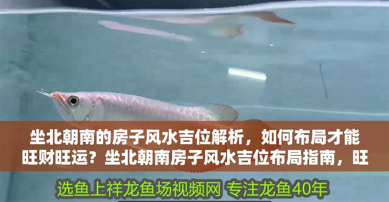 坐北朝南的房子風水吉位解析，如何布局才能旺財旺運？坐北朝南房子風水吉位布局指南，旺財旺運的秘訣