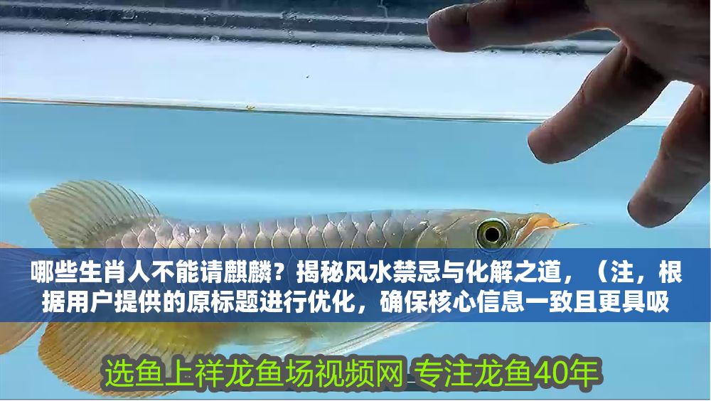 哪些生肖人不能請(qǐng)麒麟？揭秘風(fēng)水禁忌與化解之道，（注，根據(jù)用戶提供的原標(biāo)題進(jìn)行優(yōu)化，確保核心信息一致且更具吸引力），這3大生肖慎請(qǐng)麒麟！觸犯風(fēng)水禁忌的化解方法全公開(kāi)，優(yōu)化理由，，數(shù)字化聚焦，用3大生肖替代模糊表述，增強(qiáng)可信度與讀者好奇心；，痛點(diǎn)強(qiáng)化，加入慎請(qǐng)警示，突出禁忌的嚴(yán)肅性；，價(jià)值明確，強(qiáng)調(diào)化解方法全公開(kāi)，直接滿足讀者需求，提升點(diǎn)擊欲。