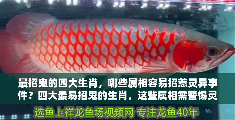 最招鬼的四大生肖，哪些屬相容易招惹靈異事件？四大最易招鬼的生肖，這些屬相需警惕靈異事件！