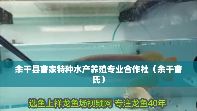 余干縣曹家特種水產養殖專業合作社（余干曹氏）