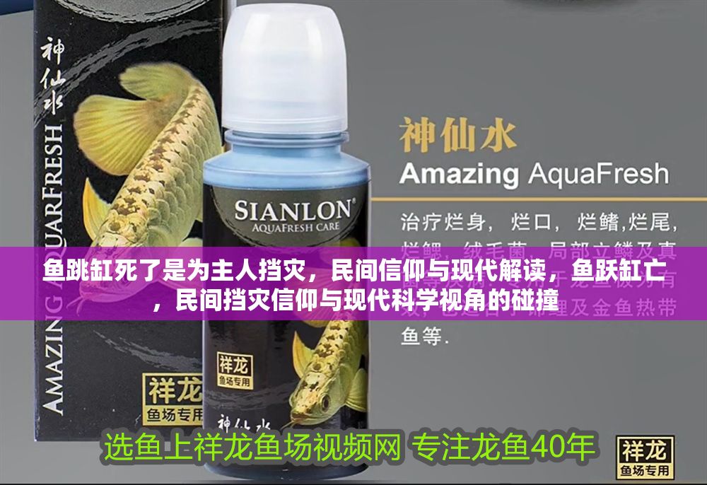 魚跳缸死了是為主人擋災，民間信仰與現(xiàn)代解讀，魚躍缸亡，民間擋災信仰與現(xiàn)代科學視角的碰撞