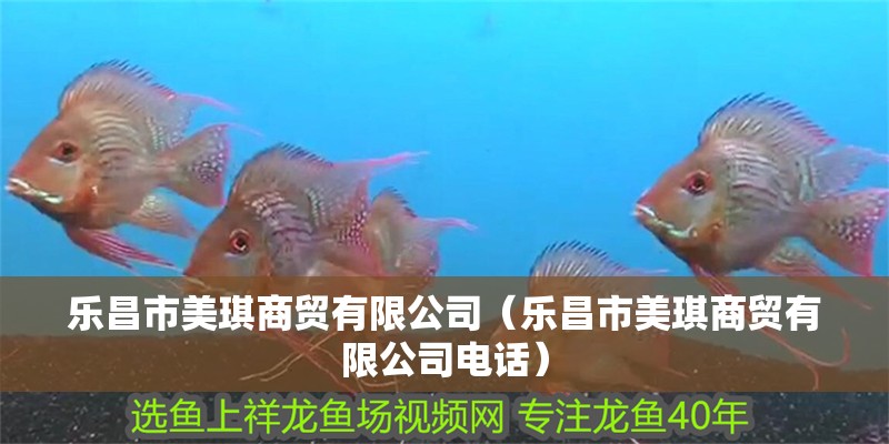 樂(lè)昌市美琪商貿(mào)有限公司（樂(lè)昌市美琪商貿(mào)有限公司電話）