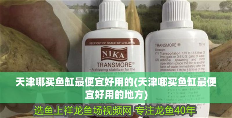 天津哪買魚(yú)缸最便宜好用的(天津哪買魚(yú)缸最便宜好用的地方)