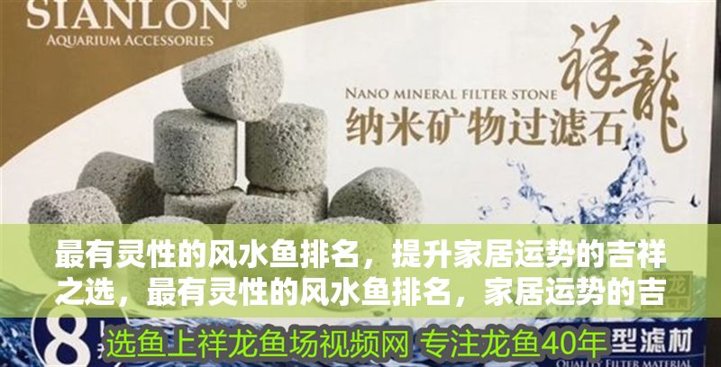 最有靈性的風水魚排名，提升家居運勢的吉祥之選，最有靈性的風水魚排名，家居運勢的吉祥之選