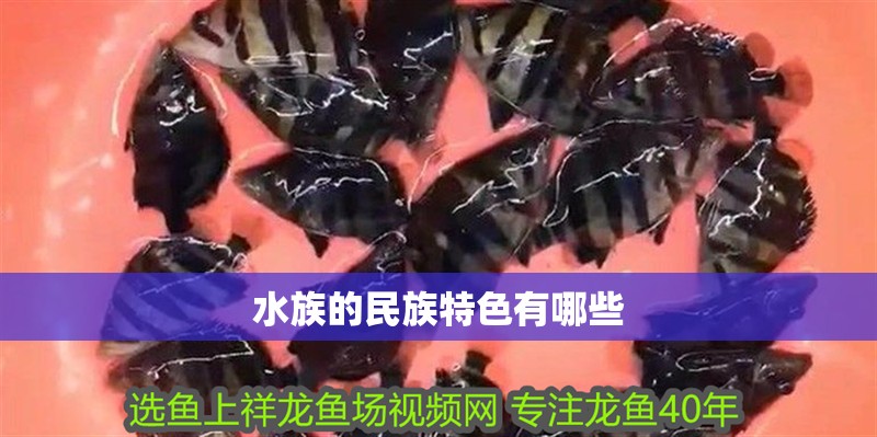 水族的民族特色有哪些