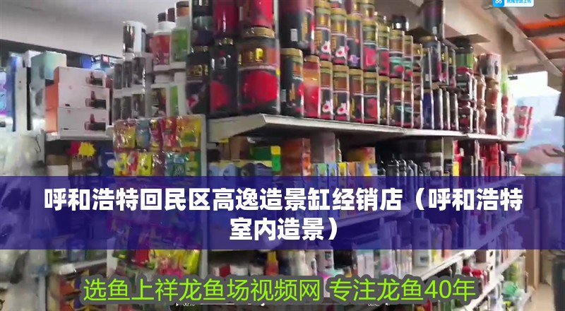 呼和浩特回民區高逸造景缸經銷店（呼和浩特室內造景）