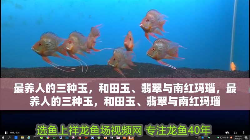 最養人的三種玉，<strong><mark>和田</mark></strong>玉、翡翠與南紅瑪瑙，最養人的三種玉，<strong><mark>和田</mark></strong>玉、翡翠與南紅瑪瑙