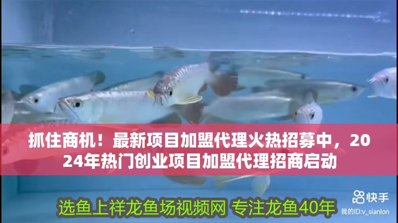 抓住商機(jī)！最新項(xiàng)目加盟代理火熱招募中，2024年熱門創(chuàng)業(yè)項(xiàng)目加盟代理招商啟動(dòng)