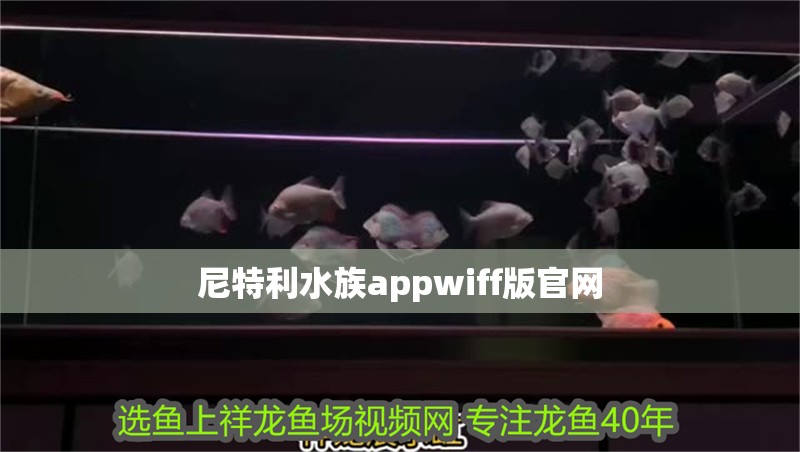 尼特利水族appwiff版官網
