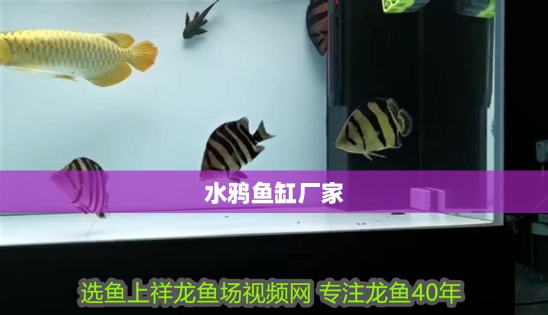 水鴉魚缸廠家
