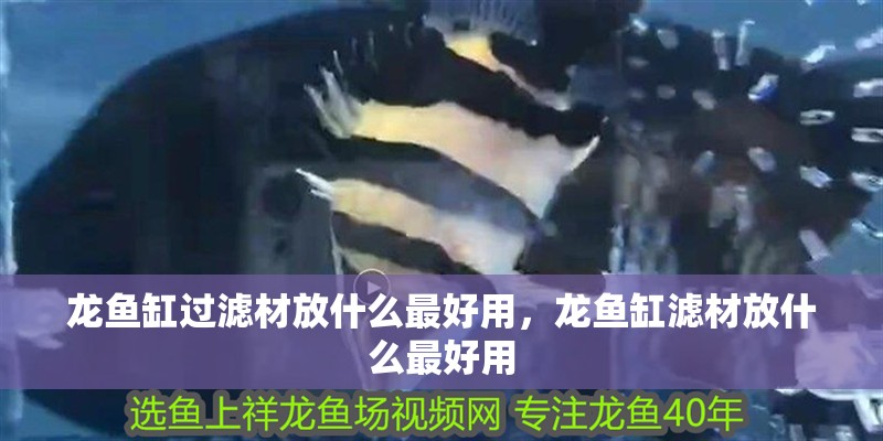 龍魚缸過濾材放什么最好用，龍魚缸濾材放什么最好用