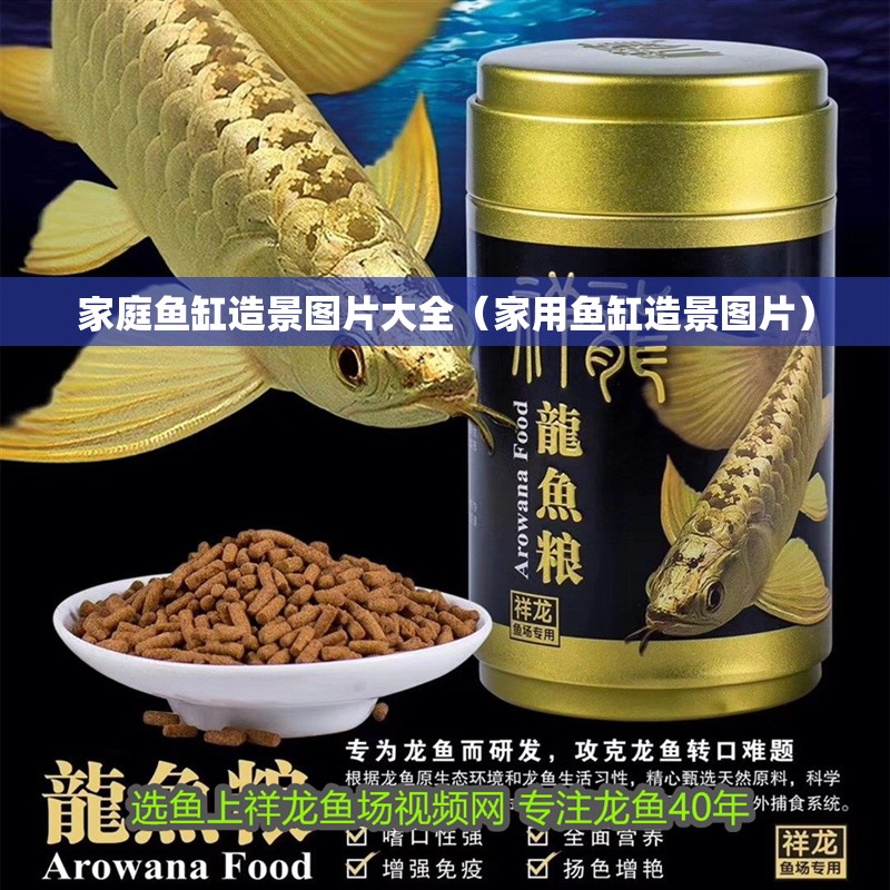 家庭魚缸造景圖片大全（家用魚缸造景圖片）