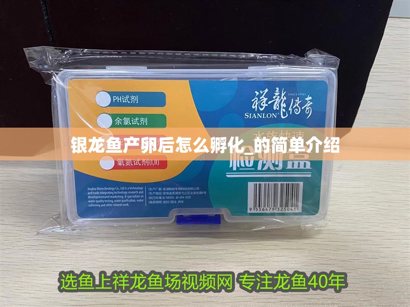 銀龍魚(yú)產(chǎn)卵后怎么孵化_的簡(jiǎn)單介紹