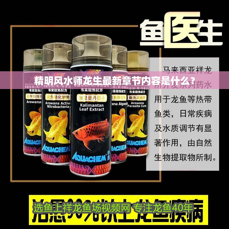 精明風水師龍生最新章節內容是什么？