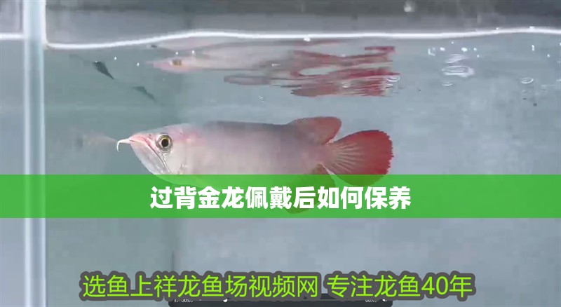 過背金龍佩戴后如何保養