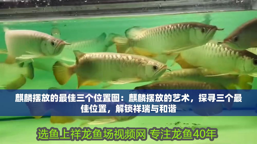 <strong><mark>麒麟</mark></strong>擺放的最佳三個位置圖：<strong><mark>麒麟</mark></strong>擺放的藝術，探尋三個最佳位置，解鎖祥瑞與和諧