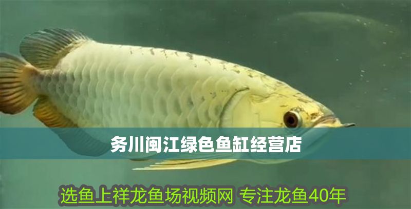 務川閩江綠色魚缸經營店