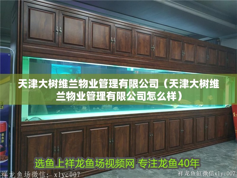 天津大樹維蘭物業(yè)管理有限公司（天津大樹維蘭物業(yè)管理有限公司怎么樣）