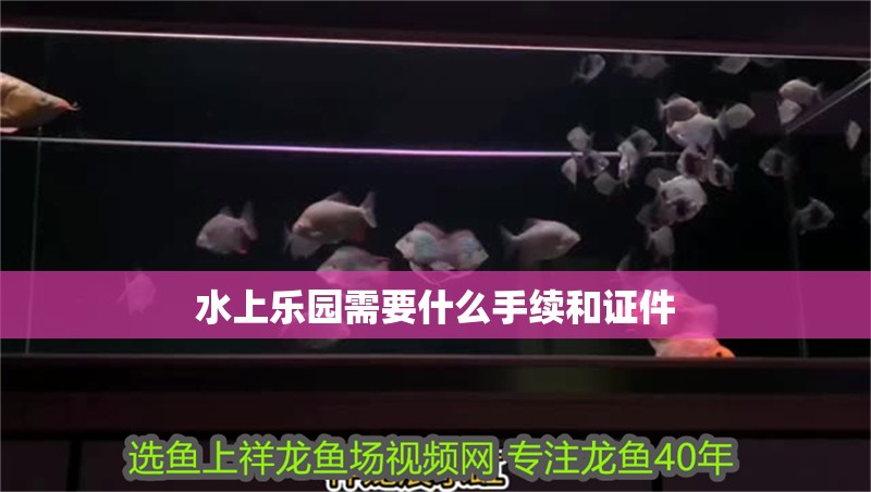 水上樂園需要什么手續和證件