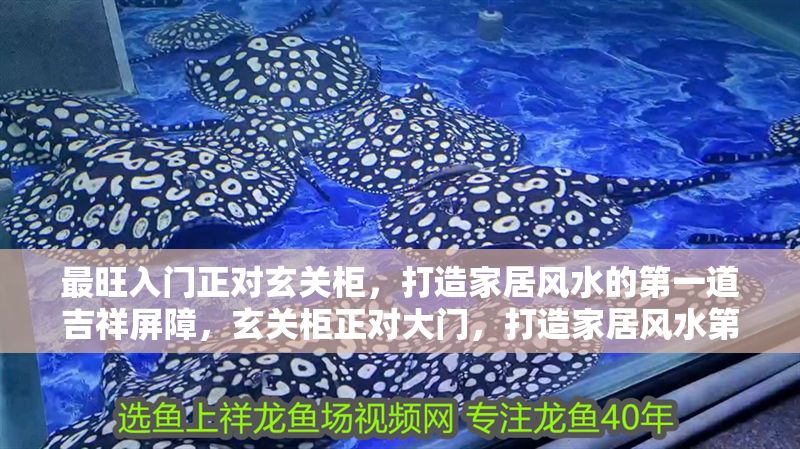 最旺入門正對玄關柜，打造家居風水的第一道吉祥屏障，玄關柜正對大門，打造家居風水第一吉祥屏障