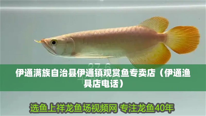 伊通滿族自治縣伊通鎮觀賞魚專賣店（伊通漁具店電話）