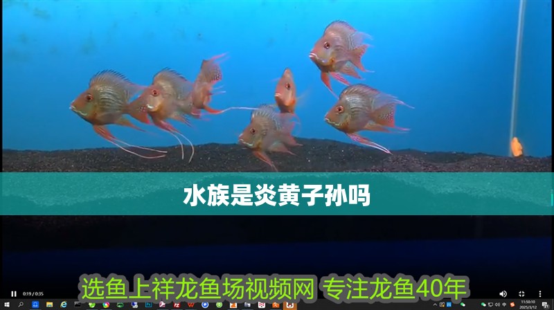 水族是炎黃子孫嗎