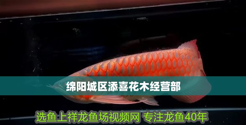 綿陽城區添喜花木經營部