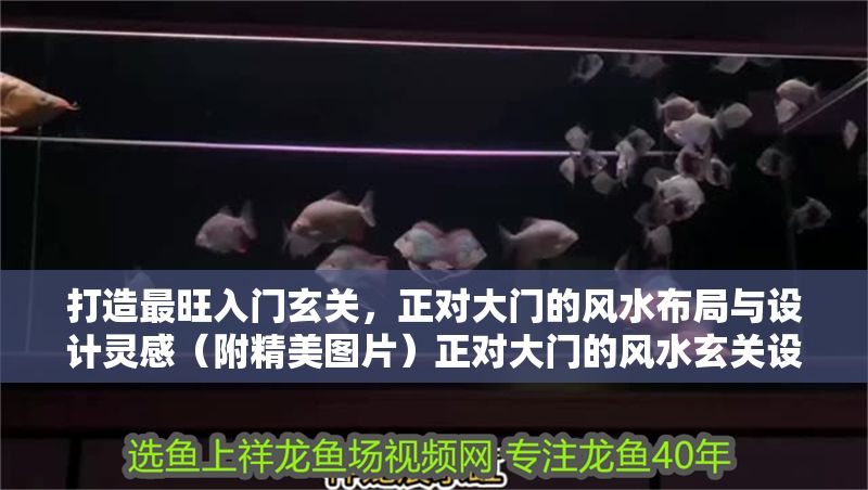 打造最旺入門玄關(guān)，正對(duì)大門的風(fēng)水布局與設(shè)計(jì)靈感（附精美圖片）正對(duì)大門的風(fēng)水玄關(guān)設(shè)計(jì)，招財(cái)布局與靈感圖解