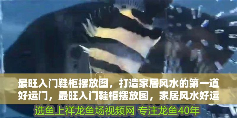 最旺入門鞋柜擺放圖，打造家居風水的第一道好運門，最旺入門鞋柜擺放圖，家居風水好運第一門